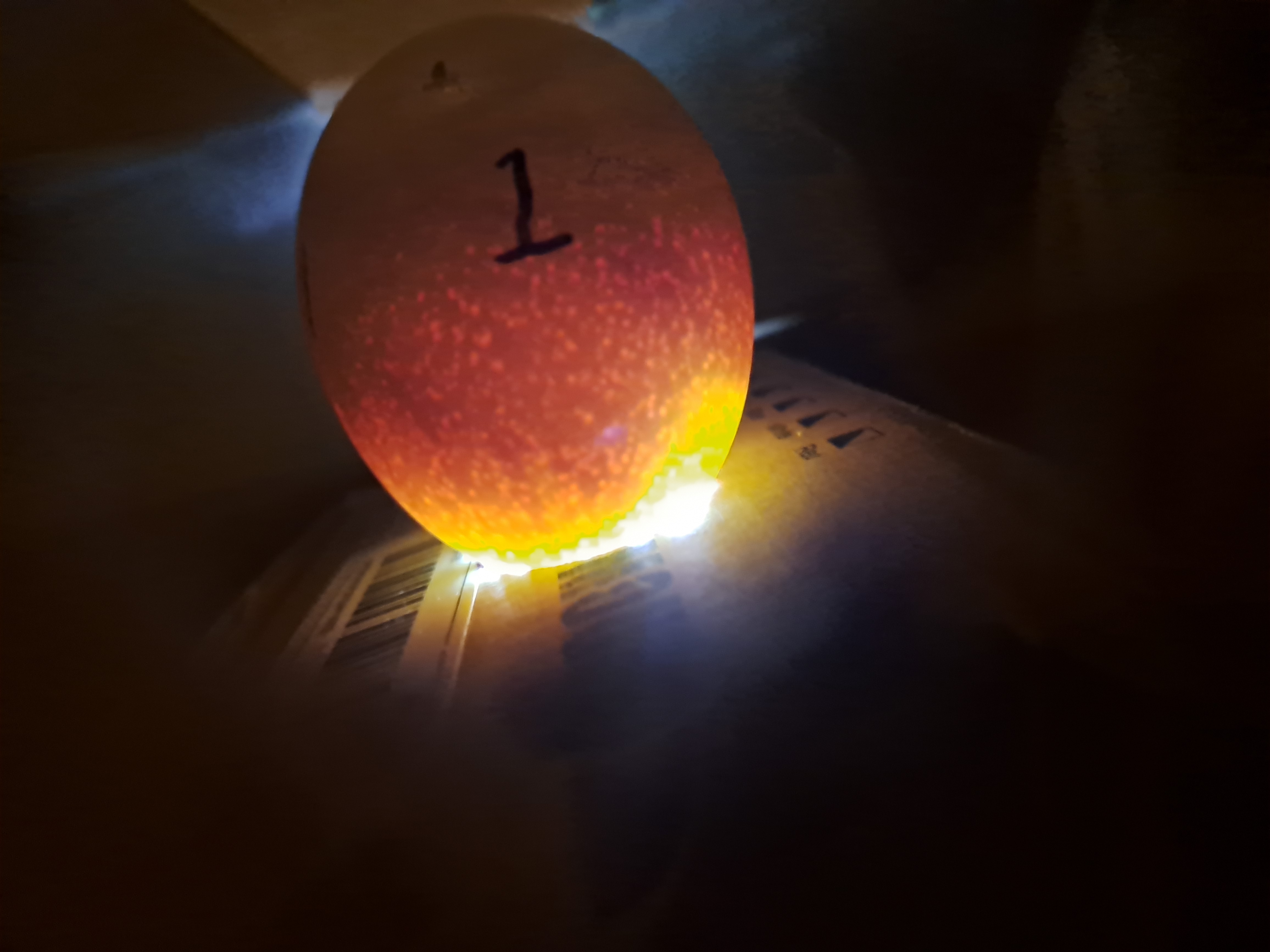 Imagen del ciclo 1.1