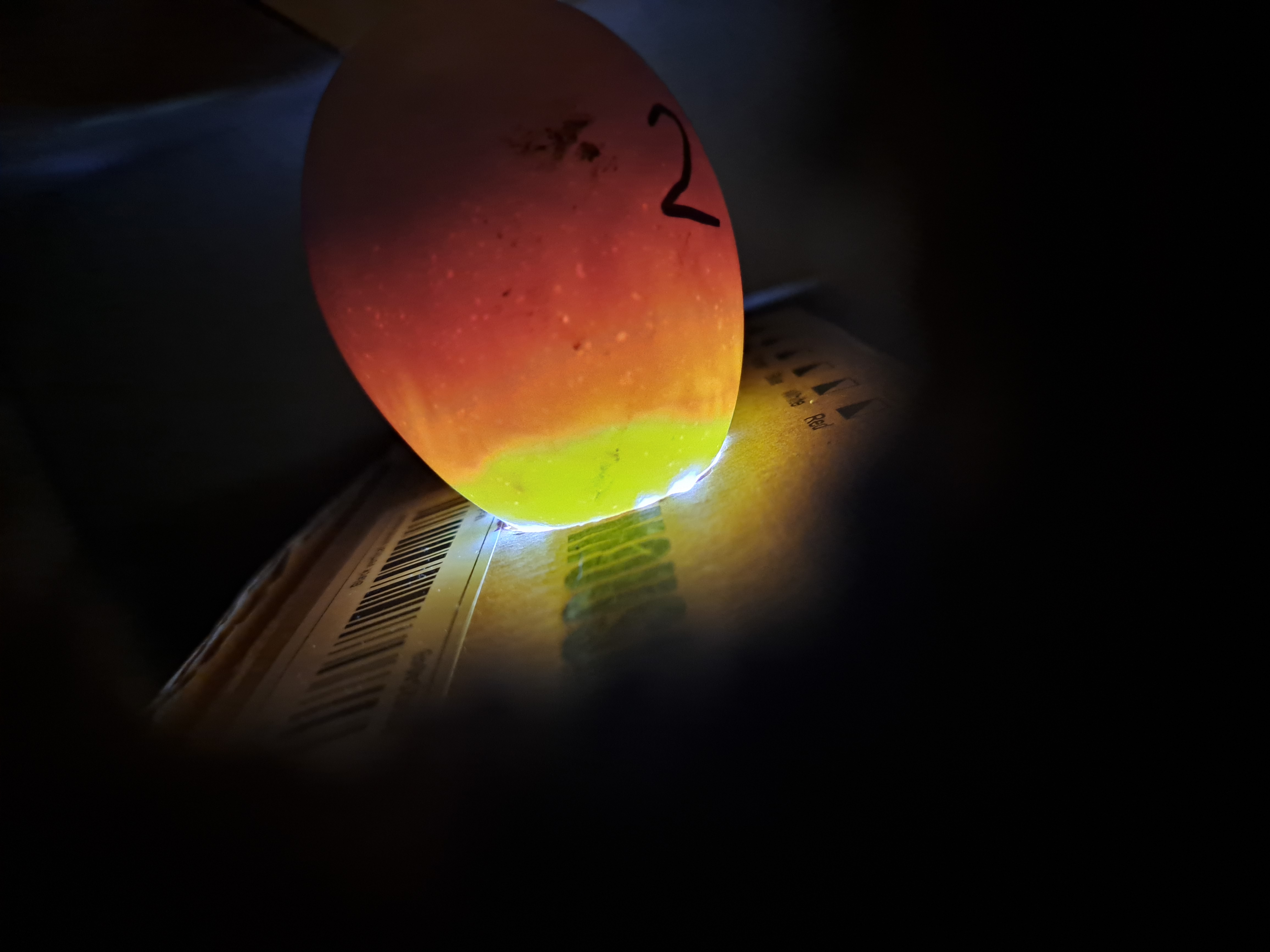 Imagen del ciclo 1.1