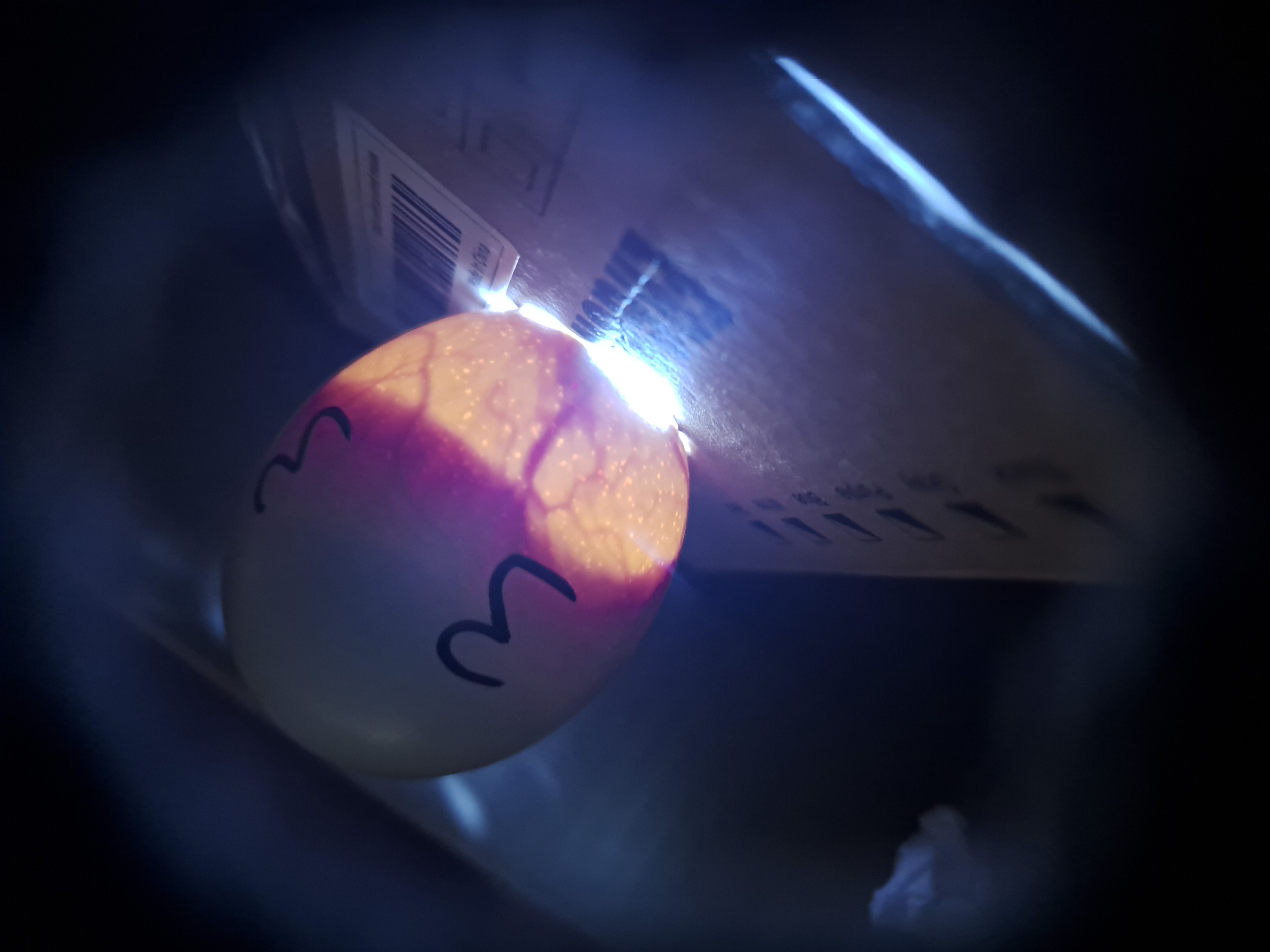 Imagen del ciclo 1.2